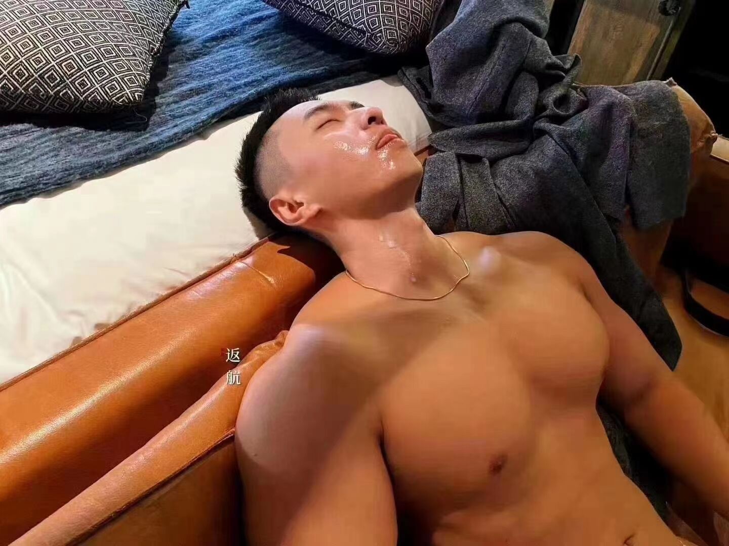 调教军犬全裸
