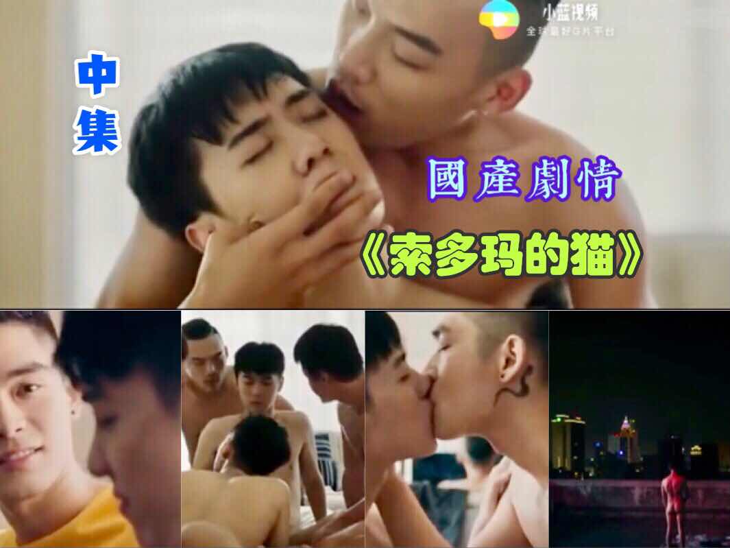 国产剧情 《索多玛的猫》超高颜值 中集