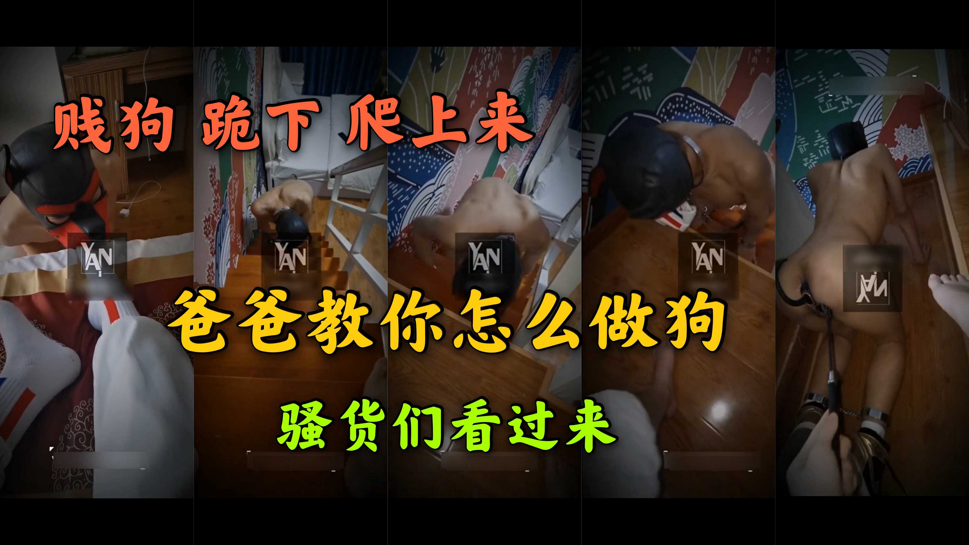贱狗 跪下 爬上来 爸爸教你怎么训狗 骚货们看过来 上