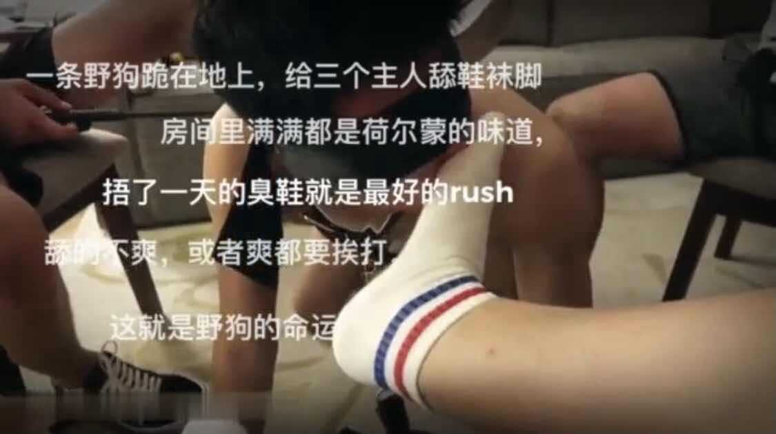 一条野狗跪在地上，给三个主人舔鞋袜脚